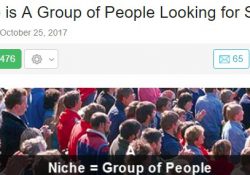Niche - a group of people