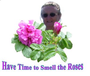 Have Time to Smell the Roses